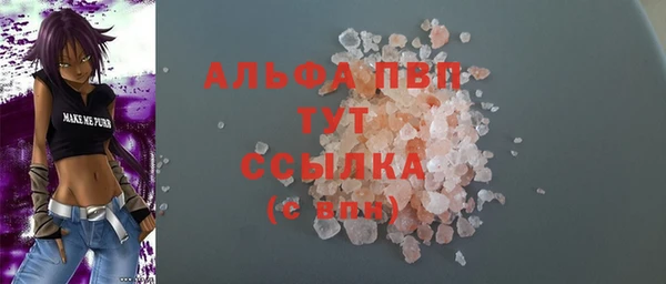 крисы Абаза