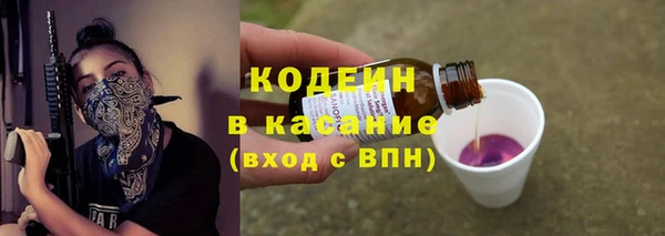 крисы Абаза