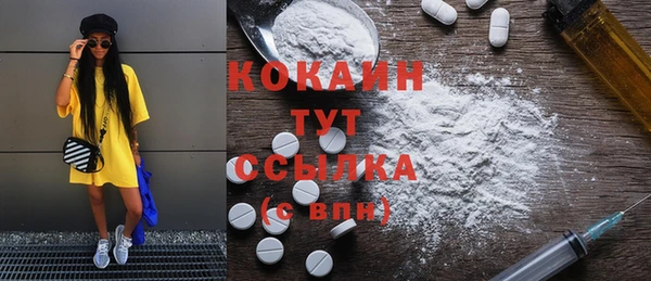крисы Абаза