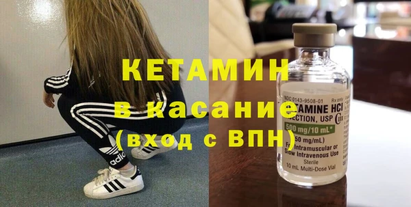 крисы Абаза